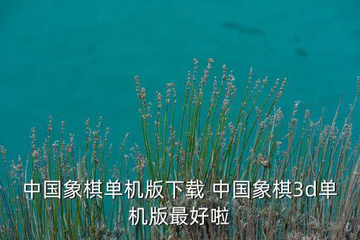中国象棋单机版下载 中国象棋3d单机版最好啦