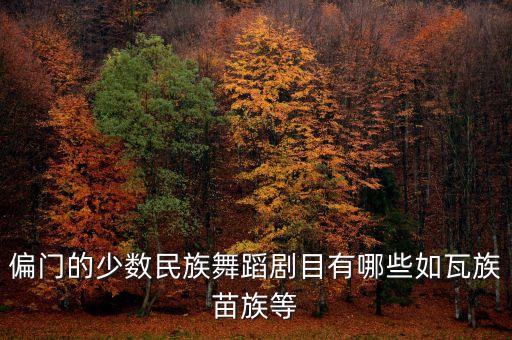 偏门的少数民族舞蹈剧目有哪些如瓦族苗族等