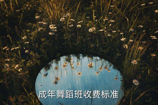 报跳舞班大概多少钱，学舞蹈一个学期要多少钱