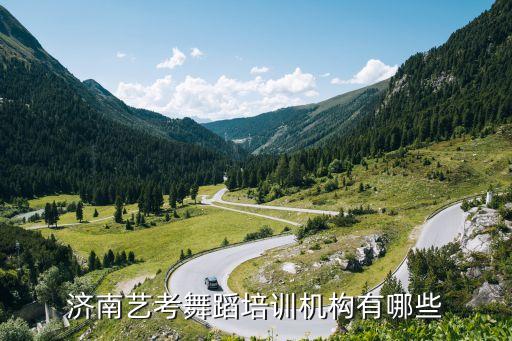济南艺考舞蹈培训机构有哪些