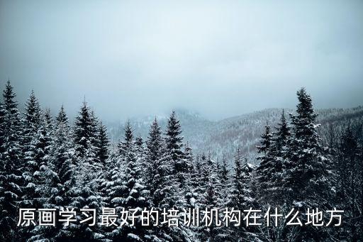 原画培训机构哪里好知乎，原画学习最好的培训机构在什么地方