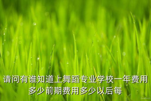 成人学舞蹈需要多少钱，学音乐舞蹈要多少钱