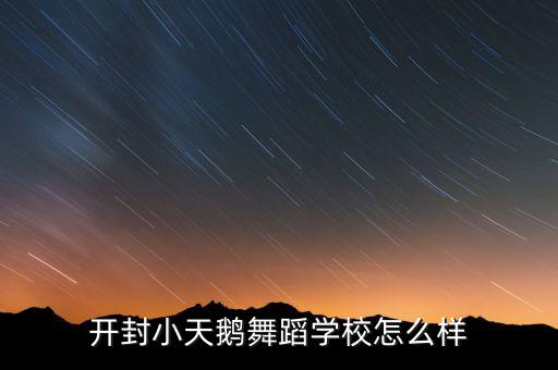 开封小天鹅舞蹈学校怎么样
