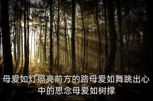 母爱如灯照亮前方的路母爱如舞跳出心中的思念母爱如树撑