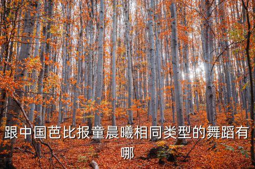 跟中国芭比报童晨曦相同类型的舞蹈有哪