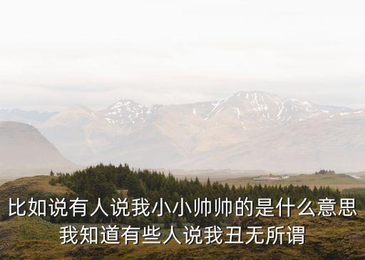 小小帅是什么意思是什么歌，比如说有人说我小小帅帅的是什么意思我知道有些人说我丑无所谓