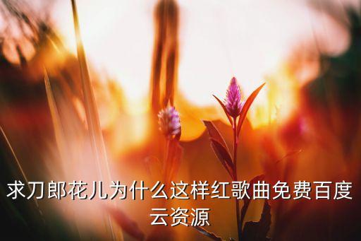 求刀郎花儿为什么这样红歌曲免费百度云资源