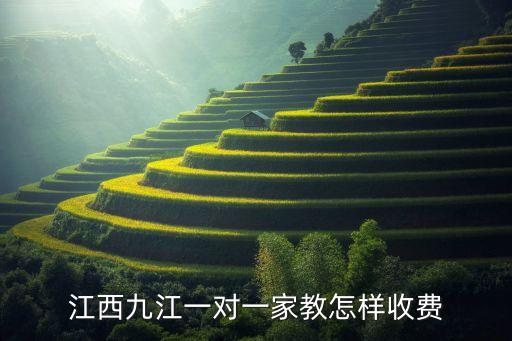 江西九江一对一家教怎样收费
