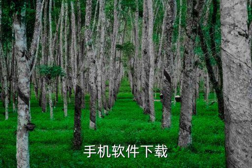 下载快手极速版并安装，手机软件下载