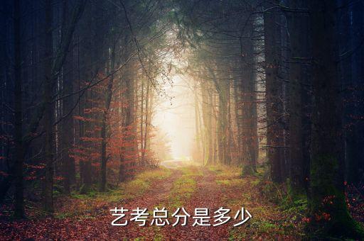 艺考总分是多少