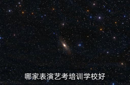 哪家表演艺考培训学校好