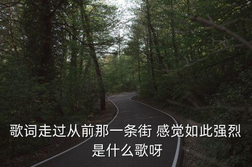 歌词走过从前那一条街 感觉如此强烈 是什么歌呀
