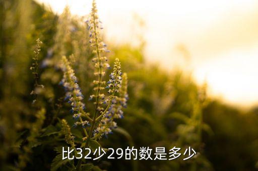 比32少29的数是多少