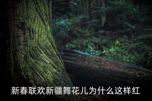 新春联欢新疆舞花儿为什么这样红