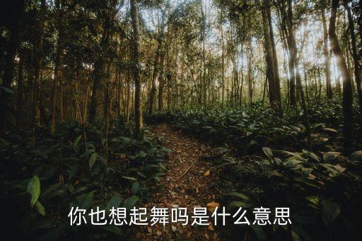 你也想起舞吗是什么意思