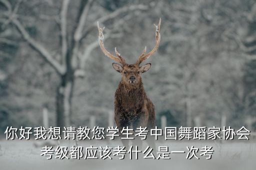 你好我想请教您学生考中国舞蹈家协会考级都应该考什么是一次考