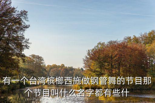 有一个台湾槟榔西施做钢管舞的节目那个节目叫什么名字都有些什