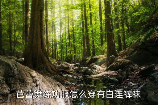 芭蕾舞练功服怎么穿有白连裤袜