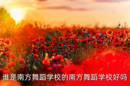 谁是南方舞蹈学校的南方舞蹈学校好吗