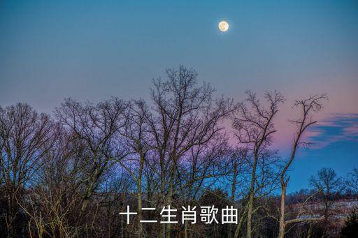 十二生肖歌舞蹈视频幼儿舞，十二生肖歌曲
