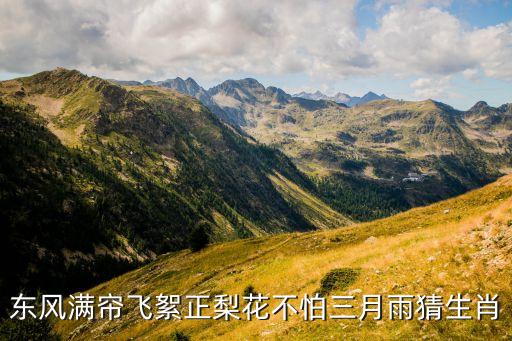 三月飘来桃花雨什么生肖，三月桃花雨跟什么生肖有关