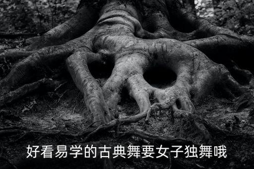 好看的舞蹈视频中国舞舞台版教学，古典舞 欢快的民族舞 好学 好看 求推荐