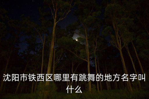 沈阳市铁西区哪里有跳舞的地方名字叫什么