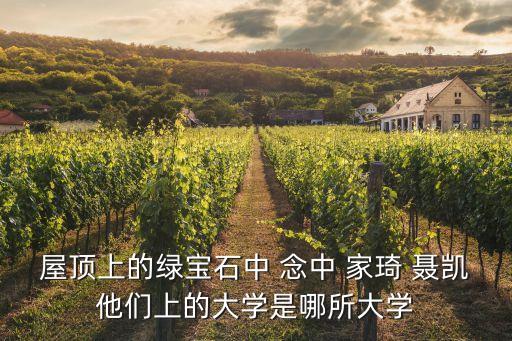 屋顶上的绿宝石中 念中 家琦 聂凯他们上的大学是哪所大学