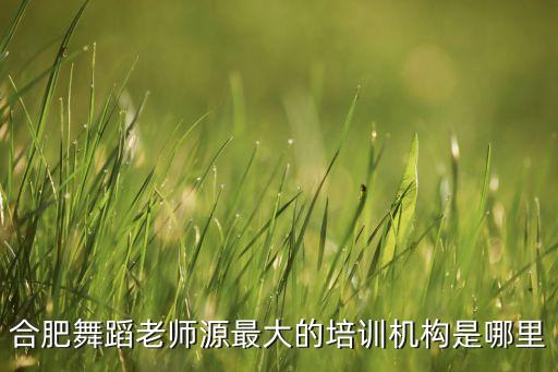安徽舞蹈机构排名，安徽哪个肚皮舞教学中心教的好