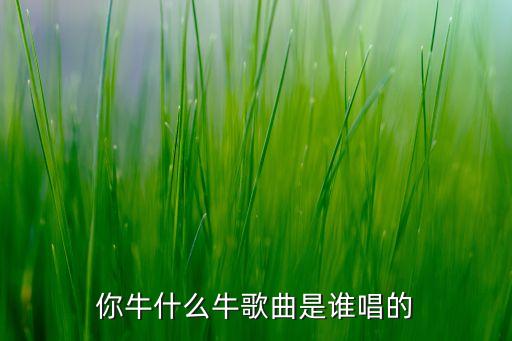 你牛什么牛歌曲是谁唱的