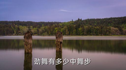 劲舞有多少中舞步