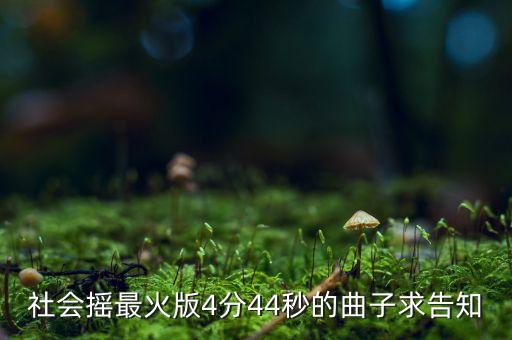 社会摇什么版本舞蹈，社会摇最火版4分44秒的曲子求告知
