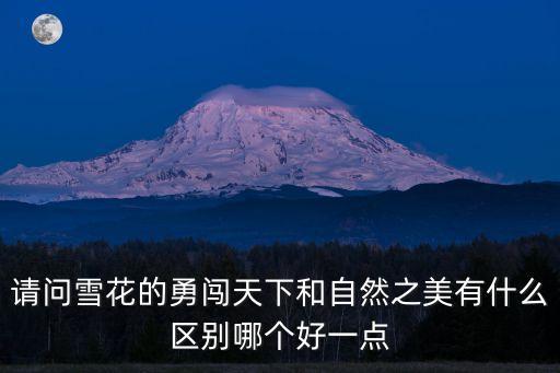 请问雪花的勇闯天下和自然之美有什么区别哪个好一点