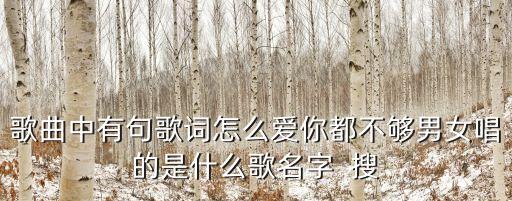 怎么爱都爱不够广场舞映容雪，歌曲中有句歌词怎么爱你都不够男女唱的是什么歌名字  搜