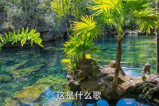 这是什么歌