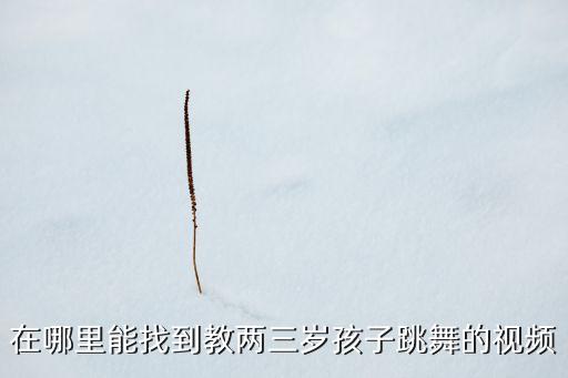 在哪里能找到教两三岁孩子跳舞的视频