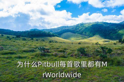 为什么Pitbull每首歌里都有MrWorldwide