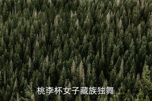 桃李杯女子藏族独舞