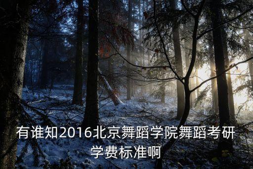 有谁知2016北京舞蹈学院舞蹈考研学费标准啊