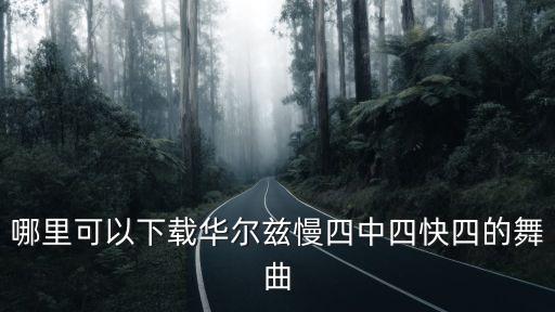 哪里可以下载华尔兹慢四中四快四的舞曲