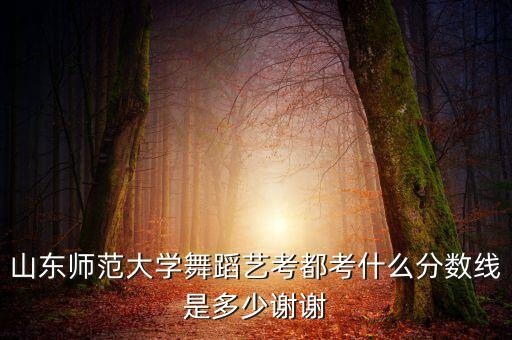 山东师范大学舞蹈艺考都考什么分数线是多少谢谢