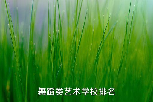 舞蹈类学校排行，全国舞蹈系大学排名