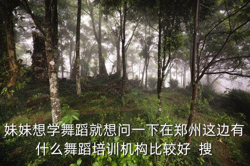 郑州民族舞舞蹈培训机构排名，河南郑州哪里有比较有教舞蹈比较好的艺术培训中心