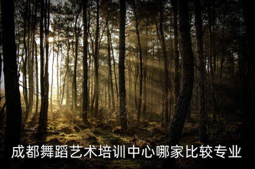 成都最好的舞蹈培训机构，成都爵士舞培训去哪里好