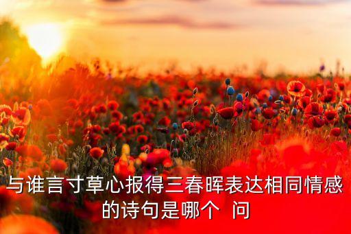 与谁言寸草心报得三春晖表达相同情感的诗句是哪个  问
