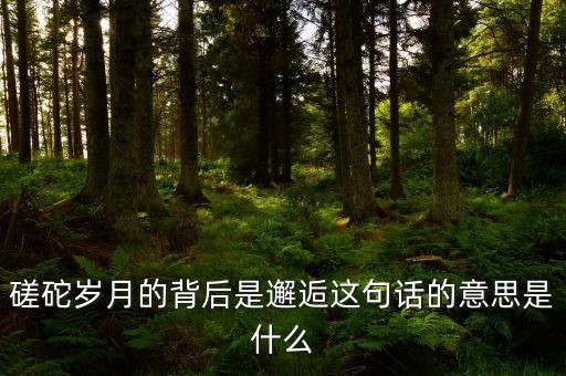 磋砣岁月的背后是邂逅这句话的意思是什么