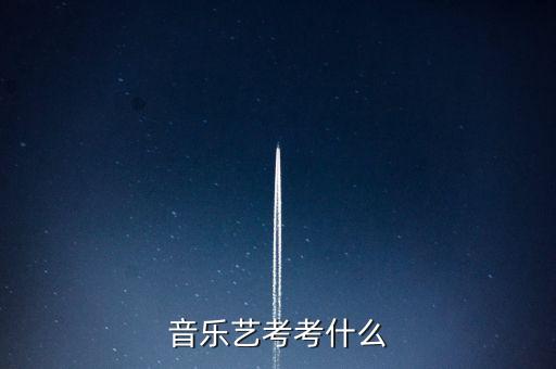 音乐艺考考什么