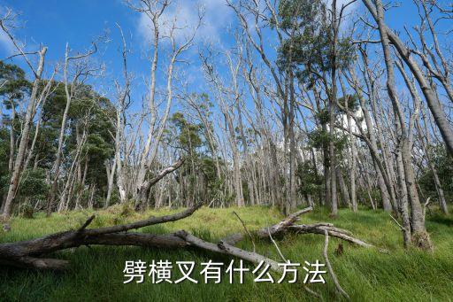 劈横叉有什么方法