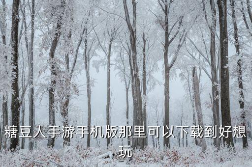 糖豆人手游手机版那里可以下载到好想玩