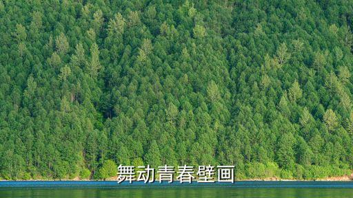 舞动青春壁画